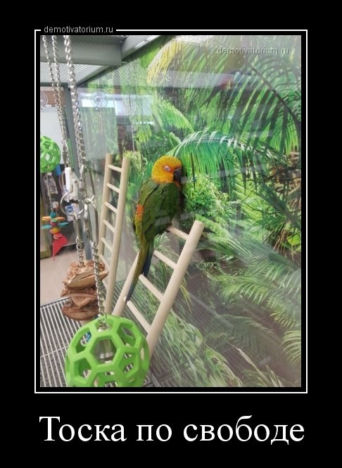 Свежие демотиваторы-приколы на Бугаге (17 шт) Свежие демотиваторы-приколы на Бугаге (17 шт)