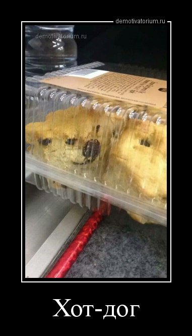Свежие демотиваторы-приколы на Бугаге (17 шт) Свежие демотиваторы-приколы на Бугаге (17 шт)