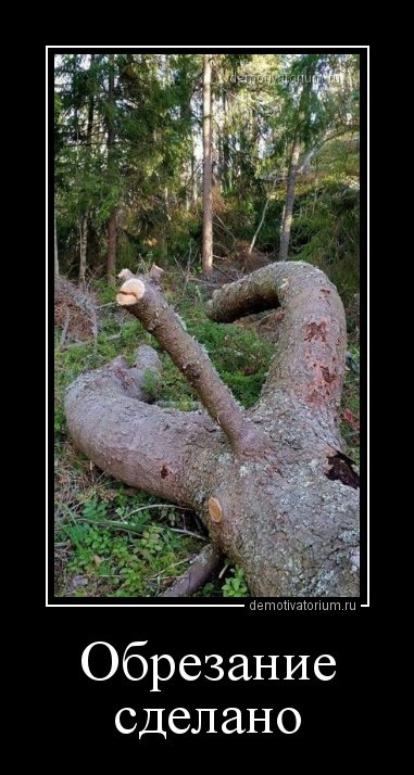 Свежие демотиваторы-приколы на Бугаге (17 шт) Свежие демотиваторы-приколы на Бугаге (17 шт)