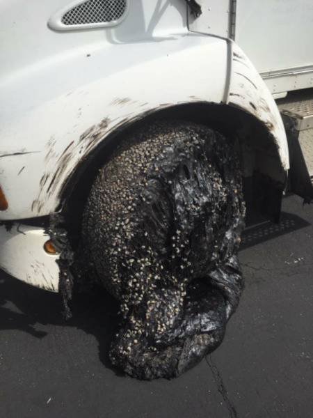 Сплошные казусы да упсы (22 фото) Сплошные казусы да упсы (22 фото)