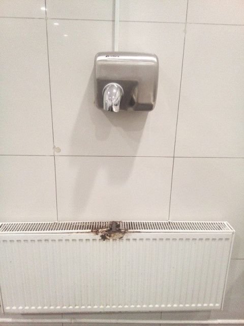 Почти получилось (23 фото) Почти получилось (23 фото)