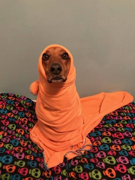 Позитив в прикольных картинках (25 фото) Позитив в прикольных картинках (25 фото)