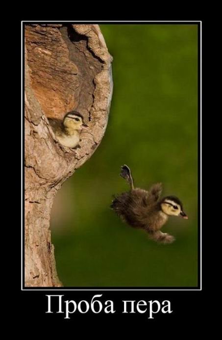 Порция демотиваторов на любой вкус (17 шт) Порция демотиваторов на любой вкус (17 шт)