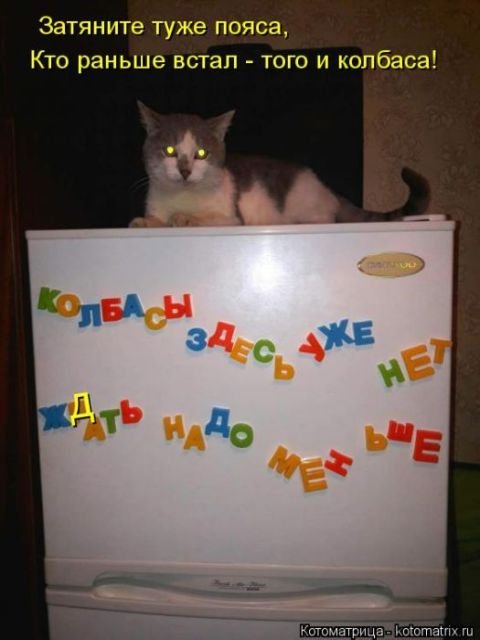 Лучшая котоматрица за неделю (29 фото) Лучшая котоматрица за неделю (29 фото)