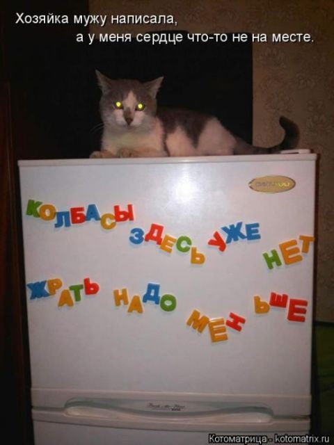 Лучшая котоматрица за неделю (29 фото) Лучшая котоматрица за неделю (29 фото)