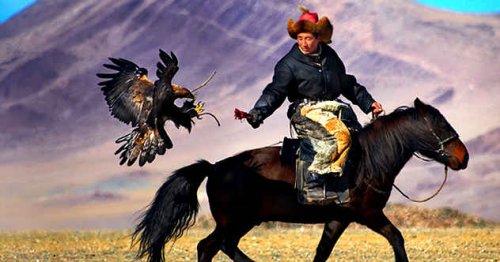 ТОП-10: Удивительные факты про Монголию