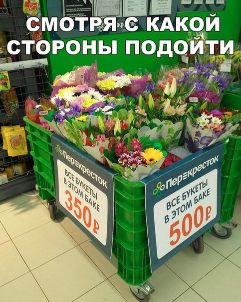 Новые фотомемы для отличного настроения (32 шт) Новые фотомемы для отличного настроения (32 шт)