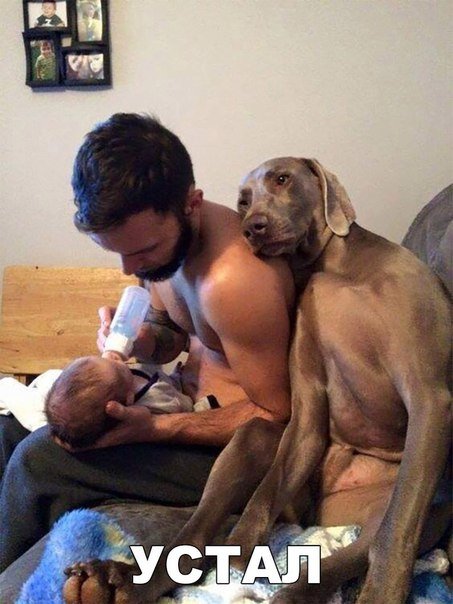 Новые фотомемы для отличного настроения (32 шт) Новые фотомемы для отличного настроения (32 шт)