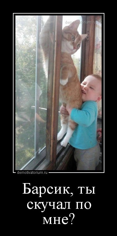 Демотиваторы для настроения (21 шт) Демотиваторы для настроения (21 шт)