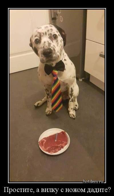 Демотиваторов пост (15 шт) Демотиваторов пост (15 шт)