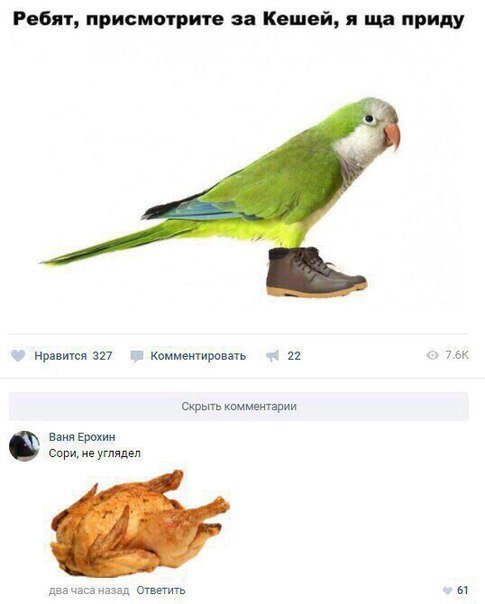 Новая порция прикольных комментариев из соцсетей (27 фото) Новая порция прикольных комментариев из соцсетей (27 фото)