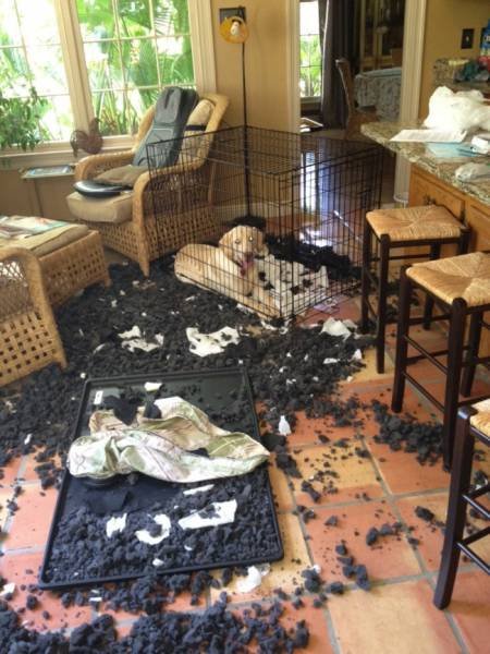 Что здесь происходит?! (25 фото) Что здесь происходит?! (25 фото)