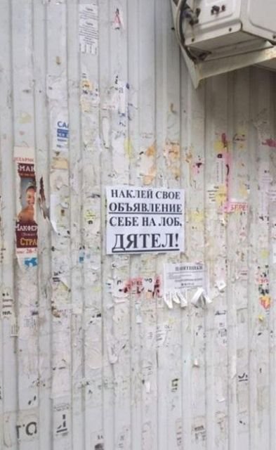 Смешные объявления, реклама и вывески (24 фото) Смешные объявления, реклама и вывески (24 фото)
