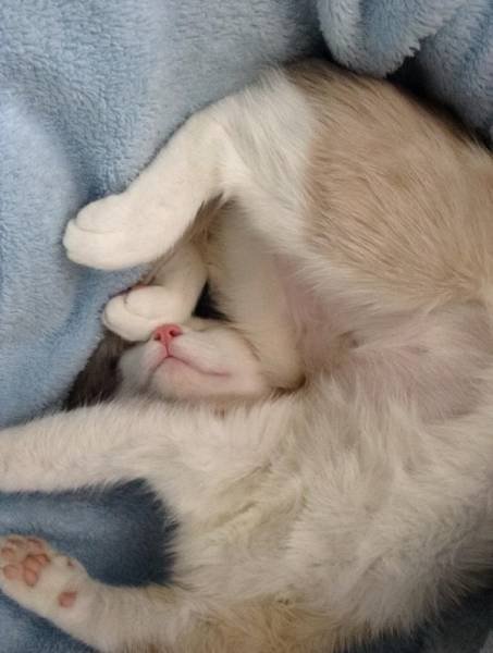 Отдых и комфорт — всё, что нам нужно! (23 фото) Отдых и комфорт — всё, что нам нужно! (23 фото)