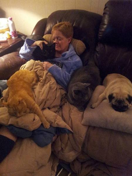 Отдых и комфорт — всё, что нам нужно! (23 фото) Отдых и комфорт — всё, что нам нужно! (23 фото)