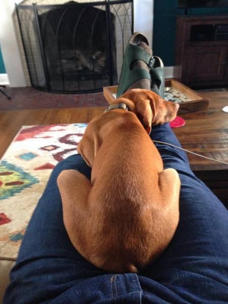 Отдых и комфорт — всё, что нам нужно! (23 фото) Отдых и комфорт — всё, что нам нужно! (23 фото)