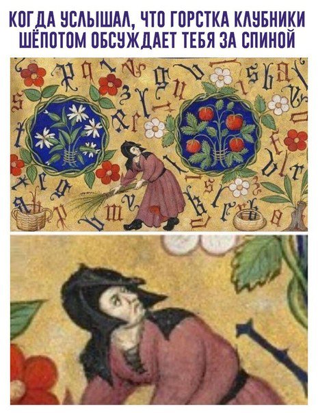 Новые фотомемы (23 шт) Новые фотомемы (23 шт)