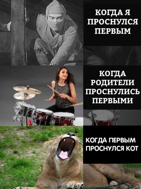 Новые фотомемы (23 шт) Новые фотомемы (23 шт)