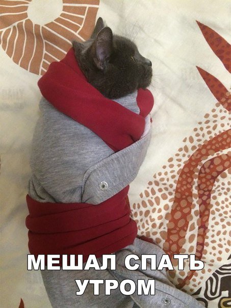 Новые фотомемы (23 шт) Новые фотомемы (23 шт)