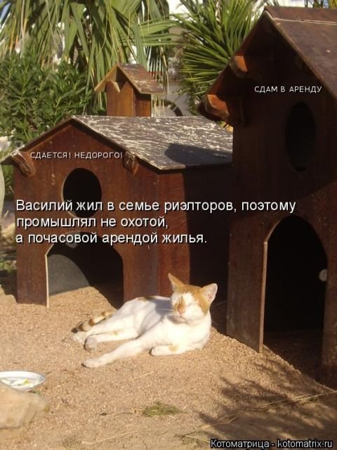 Лучшая котоматрица недели (23 фото) Лучшая котоматрица недели (23 фото)
