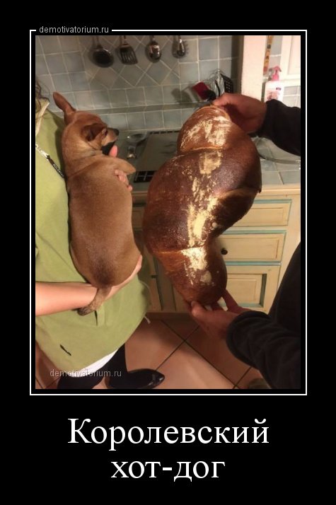 Демотиваторы на любой вкус (18 шт) Демотиваторы на любой вкус (18 шт)