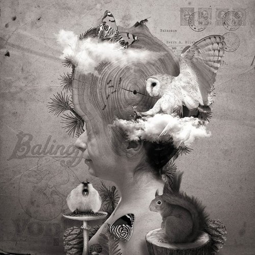 ����������� ����������������� ����������� ������ ������� ����� (20 ����)