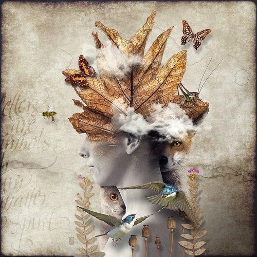 ����������� ����������������� ����������� ������ ������� ����� (20 ����)