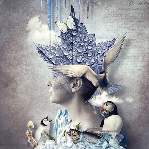 ����������� ����������������� ����������� ������ ������� ����� (20 ����)