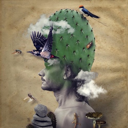 ����������� ����������������� ����������� ������ ������� ����� (20 ����)