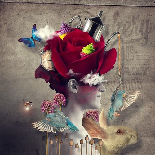 ����������� ����������������� ����������� ������ ������� ����� (20 ����)