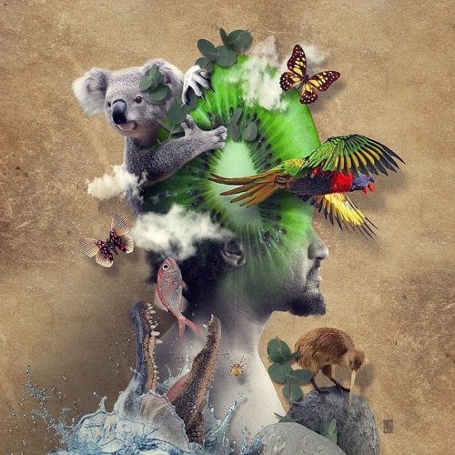 ����������� ����������������� ����������� ������ ������� ����� (20 ����)