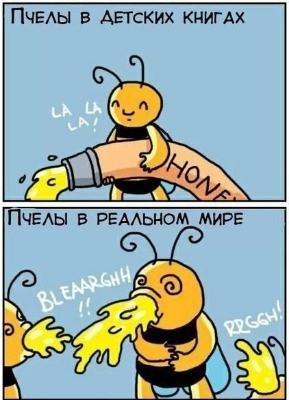 Прикольные картинки выходного дня (49 шт)