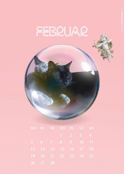 Календарь "Две кошки" на 2018-й год от Отавио Сантьяго (12 фото)