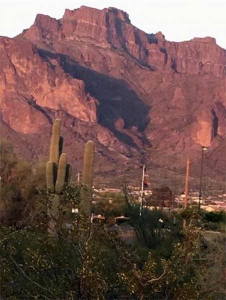 Оказалось, показалось: забавная игра теней (18 фото)