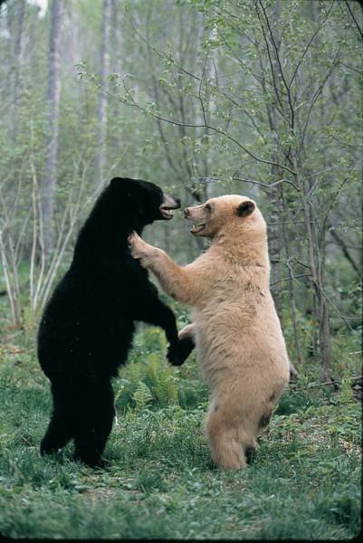 Прикольные стоп-кадры (27 фото)