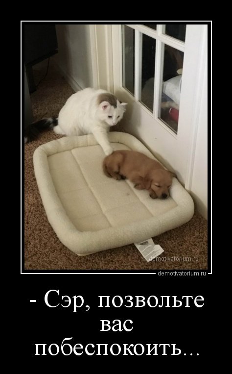 Новая порция демотиваторов (15 шт)