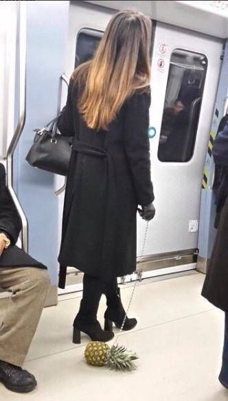 Пост прикольных фоток и картинок (56 шт)