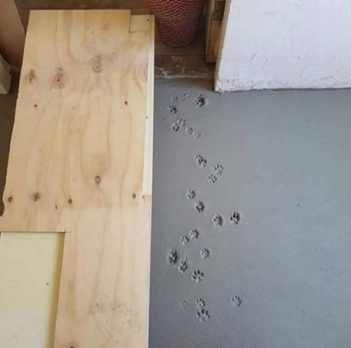 Посмеялся сам - поделись с другом!!!