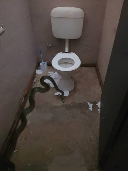 Тем временем в Австралии (13 фото)