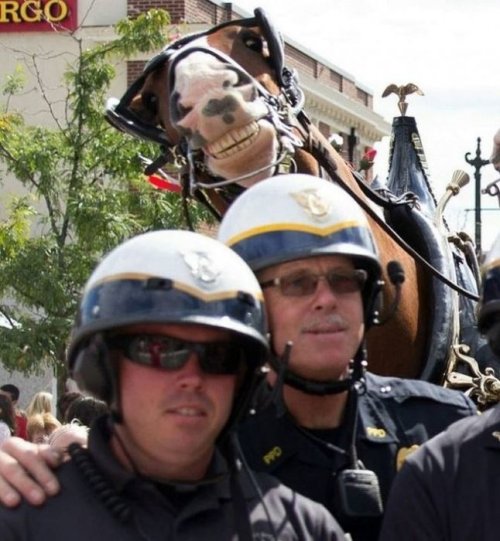 Посмеялся сам - поделись с другом!!!