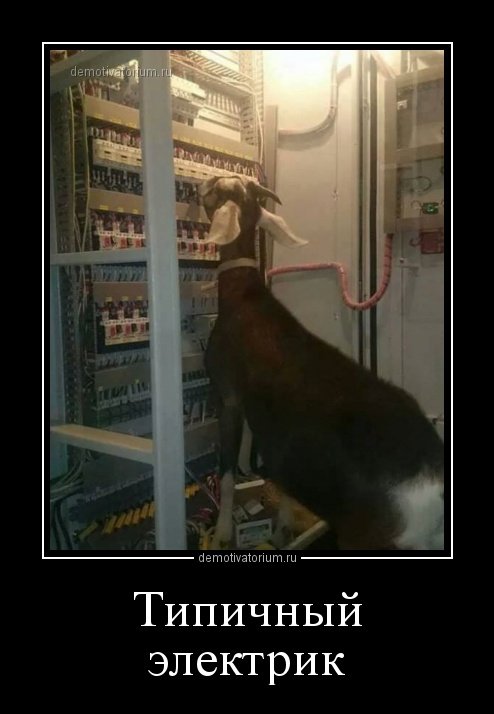 Прикольные демотиваторы (15 шт)