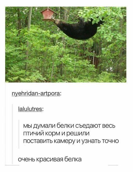 Ночной пост фото-приколов (21 шт)