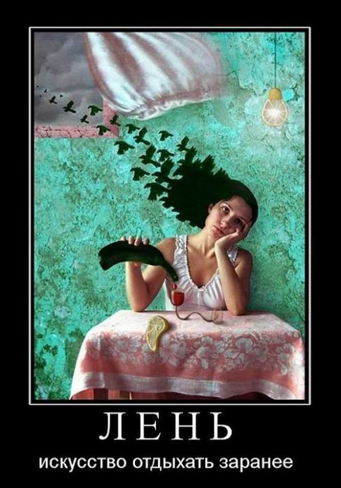 Демотиваторы на любой вкус (16 шт)