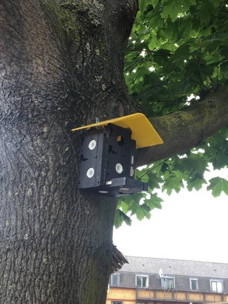 Свежая порция прикольных картинок (33 шт)