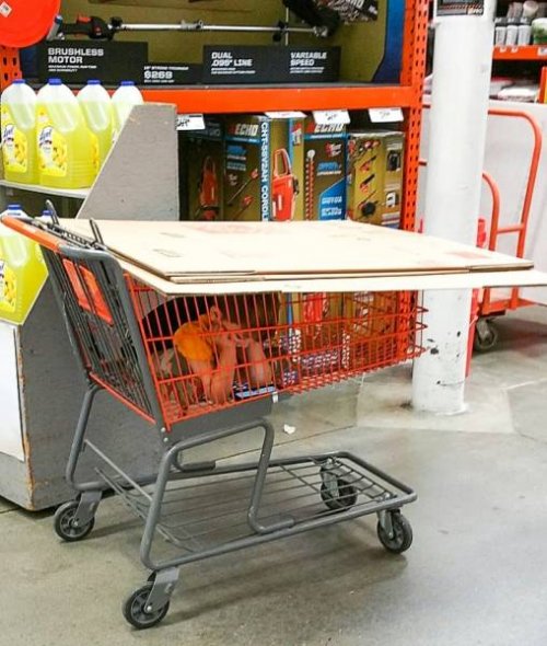 Посмеялся сам - поделись с другом!!!