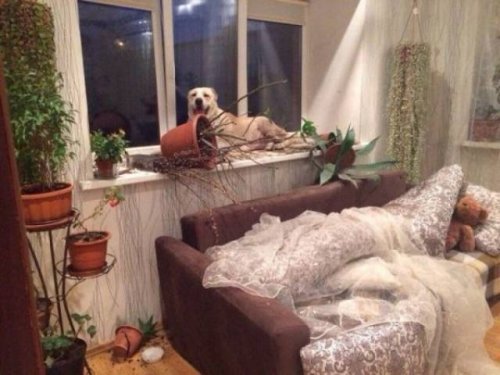 Посмеялся сам - поделись с другом!!!