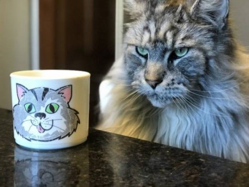 Посмеялся сам - поделись с другом!!!