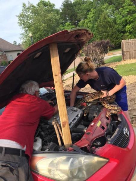 Нет-нет, только не это! (28 фото)