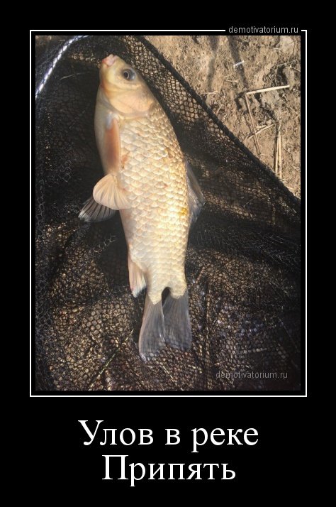 Демотиваторы дня (13 шт)