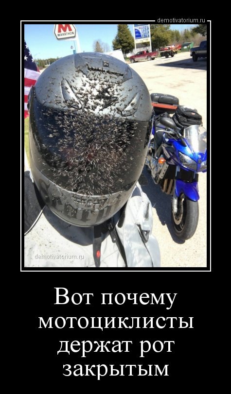 Демотиваторы для хорошего настроения (19 шт)